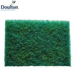 道爾頓英國 刷布 清洗濾芯專用凈水設備產(chǎn)品圖片1